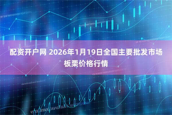 配资开户网 2026年1月19日全国主要批发市场板栗价格行情
