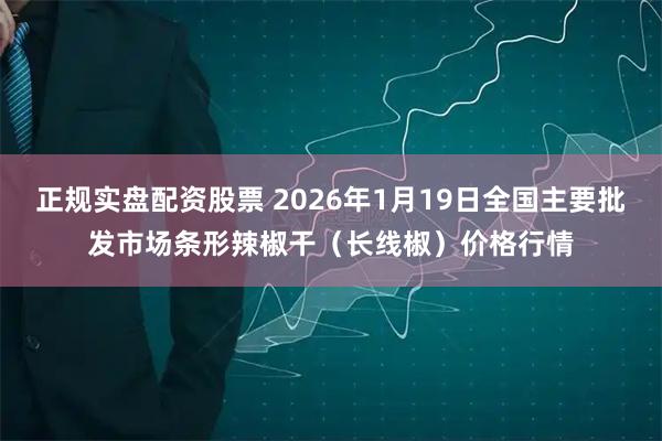 正规实盘配资股票 2026年1月19日全国主要批发市场条形辣椒干（长线椒）价格行情
