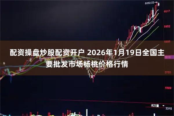 配资操盘炒股配资开户 2026年1月19日全国主要批发市场杨桃价格行情